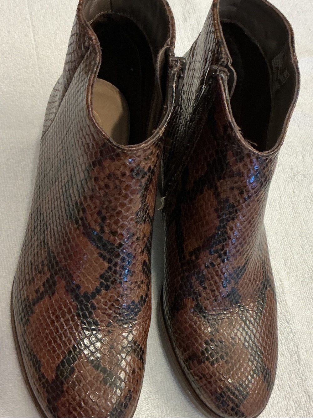 Clarks Brown Snake-Print Ankle Boots - Picture 4 of 4